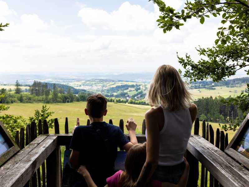 Baumkronenweg Hoherodskopf 1